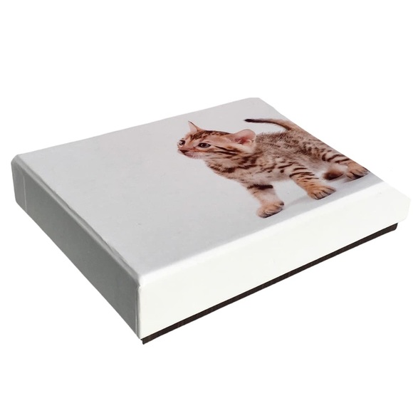 Crown Point Graphics Curious Tabby Kitten Note Cards Keepsake Box (FNC90516) - Picture 3 of 4